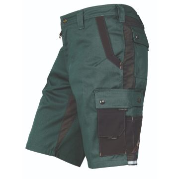 Shorts 1803